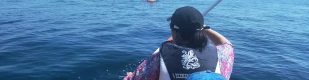 In kayak all'Isola di Bergeggi