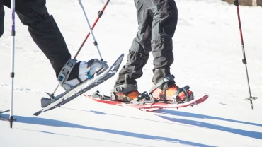 Snowshoeing, Snowshoeing
