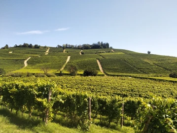Cicloturismo, Nel cuore delle terre dei grandi vini
