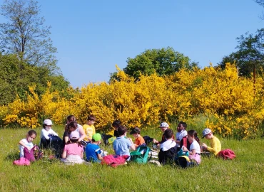 Escursionismo, Le voci