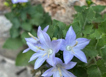 Escursionismo, Liguria: weekend di trekking alla scoperta del Finalese