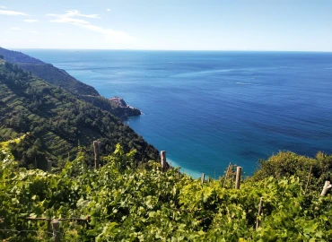 Escursionismo, Weekend alle Cinque Terre: sentieri panoramici e borghi patrimonio UNESCO