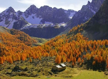Escursionismo, Weekend in Val Varaita nel bosco dell’Alevè