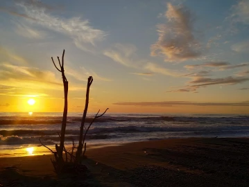 Escursionismo, Sentiero nel Parco dell’Uccellina in Maremma