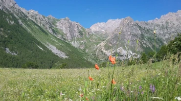 Escursionismo, Trekking nella Valle delle Meraviglie tra fioriture e incisioni rupestri