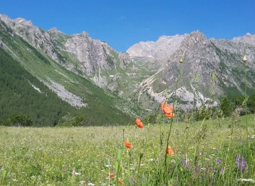 Escursionismo, Trekking nella Valle delle Meraviglie tra fioriture e incisioni rupestri