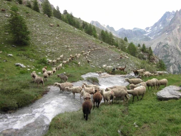 Escursionismo, Gli alpeggi della Valle Stura