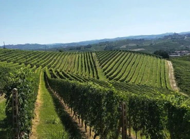 Escursionismo, Escursione letteraria nelle terre del Barbera