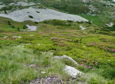 Escursionismo, Le più belle foreste delle Dolomiti