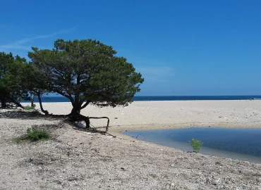 Escursionismo, Sardegna: selvaggio blu in cammino