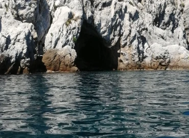 Snorkeling & Diving, Snorkeling alla Grotta Marina di Bergeggi