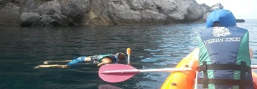 Snorkeling & Diving, Snorkeling all'isola
